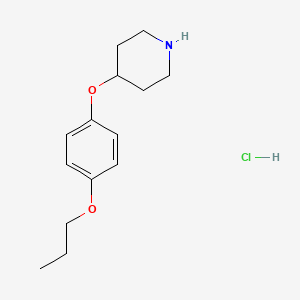 4-(4-Propoxyphenoxy)piperidine hydrochloride
