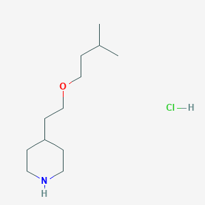 molecular formula C12H26ClNO B1394770 4-[2-(Isopentyloxy)ethyl]piperidine hydrochloride CAS No. 1220036-57-6