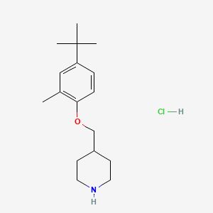molecular formula C17H28ClNO B1394771 4-{[4-(Tert-butyl)-2-methylphenoxy]-methyl}piperidine hydrochloride CAS No. 1220018-18-7
