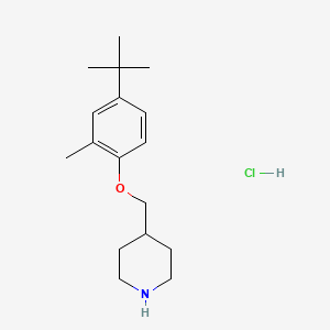 4-{[4-(Tert-butyl)-2-methylphenoxy]-methyl}piperidine hydrochloride