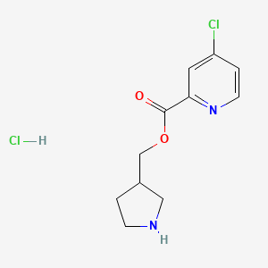 molecular formula C11H14Cl2N2O2 B1394778 3-Pyrrolidinylmethyl 4-chloro-2-pyridinecarboxylate hydrochloride CAS No. 1220031-41-3