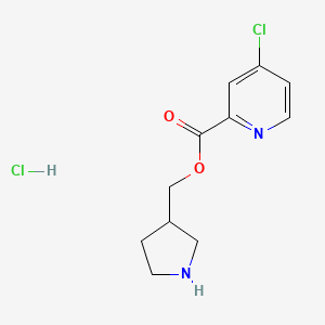 3-Pyrrolidinylmethyl 4-chloro-2-pyridinecarboxylate hydrochloride