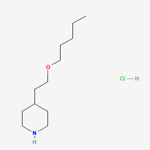 molecular formula C12H26ClNO B1394780 4-[2-(Pentyloxy)ethyl]piperidine hydrochloride CAS No. 1220030-31-8