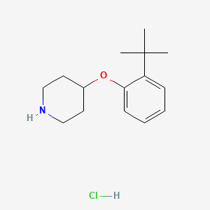 molecular formula C15H24ClNO B1394781 4-[2-(Tert-butyl)phenoxy]piperidine hydrochloride CAS No. 1146960-29-3