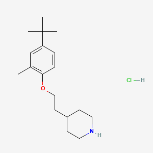 molecular formula C18H30ClNO B1394783 4-{2-[4-(Tert-butyl)-2-methylphenoxy]-ethyl}piperidine hydrochloride CAS No. 1220029-97-9
