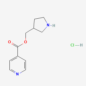 molecular formula C11H15ClN2O2 B1394787 3-Pyrrolidinylmethyl isonicotinate hydrochloride CAS No. 1220020-81-4