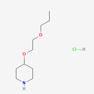 molecular formula C10H22ClNO2 B1394789 4-(2-丙氧基乙氧基)哌啶盐酸盐 CAS No. 1220037-06-8