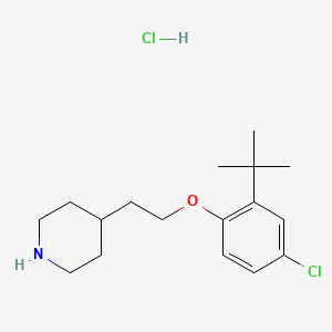 molecular formula C17H27Cl2NO B1394792 4-{2-[2-(叔丁基)-4-氯苯氧基]-乙基}哌啶盐酸盐 CAS No. 1220030-83-0