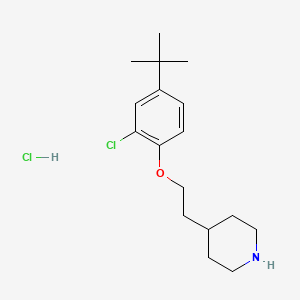 molecular formula C17H27Cl2NO B1394794 4-{2-[4-(Tert-butyl)-2-chlorophenoxy]-ethyl}piperidine hydrochloride CAS No. 1220033-96-4