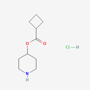 molecular formula C10H18ClNO2 B1394797 4-Piperidinyl cyclobutanecarboxylate hydrochloride CAS No. 1219948-61-4