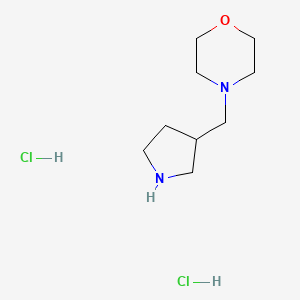 molecular formula C9H19ClN2O B1394799 4-(3-Pyrrolidinylmethyl)morpholine dihydrochloride CAS No. 1220033-16-8