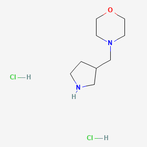 molecular formula C9H20Cl2N2O B1394799 4-(3-Pyrrolidinylmethyl)morpholine dihydrochloride CAS No. 1220033-16-8