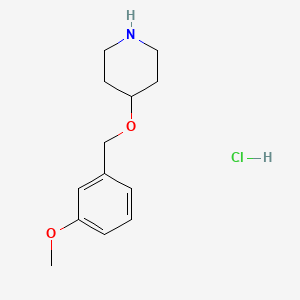 molecular formula C13H20ClNO2 B1394800 4-[(3-Methoxybenzyl)oxy]piperidine hydrochloride CAS No. 1220036-54-3