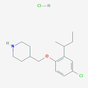 molecular formula C16H25Cl2NO B1394806 4-{[2-(Sec-butyl)-4-chlorophenoxy]-methyl}piperidine hydrochloride CAS No. 1220032-90-5