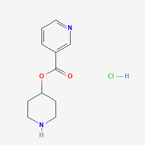 molecular formula C11H15ClN2O2 B1394807 Piperidin-4-yl nicotinate hydrochloride CAS No. 1219948-64-7