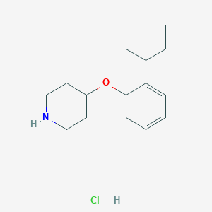 molecular formula C15H24ClNO B1394814 4-[2-(Sec-butyl)phenoxy]piperidine hydrochloride CAS No. 1220028-65-8