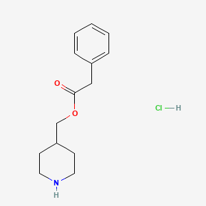 molecular formula C14H20ClNO2 B1394815 4-Piperidinylmethyl 2-phenylacetate hydrochloride CAS No. 1220037-50-2