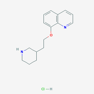 molecular formula C16H21ClN2O B1394818 8-[2-(3-Piperidinyl)ethoxy]quinoline hydrochloride CAS No. 1220029-52-6