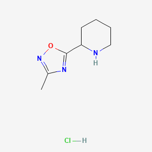 molecular formula C8H14ClN3O B1394843 2-(3-Methyl-1,2,4-oxadiazol-5-yl)piperidine hydrochloride CAS No. 1255718-24-1