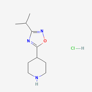 molecular formula C10H18ClN3O B1394852 4-(3-Isopropyl-1,2,4-oxadiazol-5-YL)piperidine hydrochloride CAS No. 733751-26-3