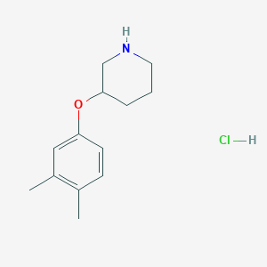molecular formula C13H20ClNO B1394988 3-(3,4-Dimethylphenoxy)piperidine hydrochloride CAS No. 1220033-76-0