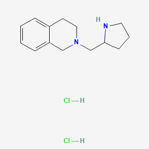 molecular formula C14H22Cl2N2 B1394994 2-(2-Pyrrolidinylmethyl)-1,2,3,4-tetrahydroisoquinoline dihydrochloride CAS No. 1220019-41-9