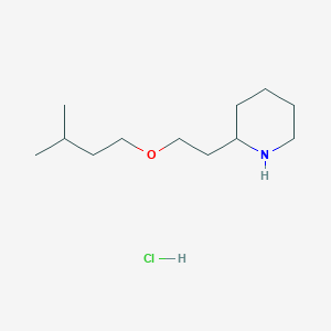 molecular formula C12H26ClNO B1395056 2-[2-(Isopentyloxy)ethyl]piperidine hydrochloride CAS No. 1219980-72-9