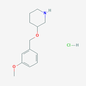 molecular formula C13H20ClNO2 B1395067 3-[(3-Methoxybenzyl)oxy]piperidine hydrochloride CAS No. 1220036-58-7