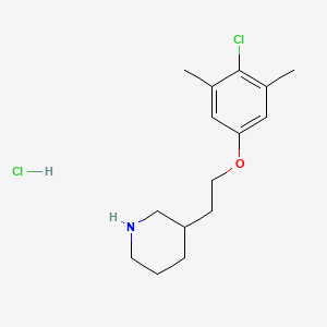 3-[2-(4-Chloro-3,5-dimethylphenoxy)ethyl]-piperidine hydrochloride