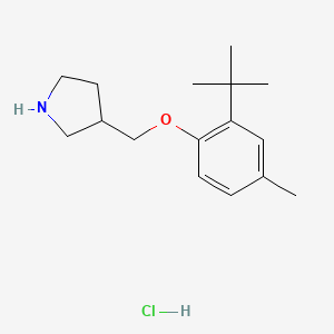 3-{[2-(Tert-butyl)-4-methylphenoxy]-methyl}pyrrolidine hydrochloride