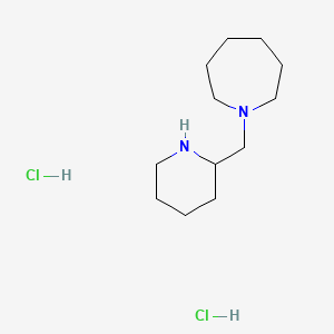 molecular formula C12H25ClN2 B1395107 1-(2-Piperidinylmethyl)azepane dihydrochloride CAS No. 1219960-55-0