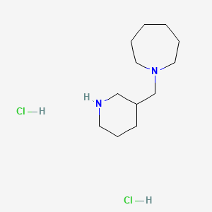molecular formula C12H26Cl2N2 B1395108 1-(3-Piperidinylmethyl)azepane dihydrochloride CAS No. 1211495-72-5