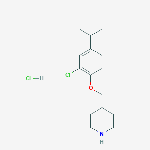 molecular formula C16H25Cl2NO B1395120 4-{[4-(Sec-butyl)-2-chlorophenoxy]-methyl}piperidine hydrochloride CAS No. 1219977-08-8