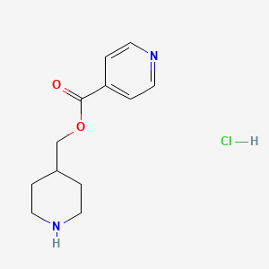 molecular formula C12H17ClN2O2 B1395125 4-哌啶基甲基异烟酸盐酸盐 CAS No. 1220031-31-1