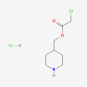 molecular formula C8H15Cl2NO2 B1395134 4-哌啶基甲基2-氯乙酸盐酸盐 CAS No. 1219949-58-2