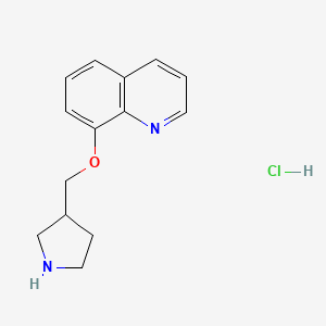 molecular formula C14H17ClN2O B1395138 8-(3-Pyrrolidinylmethoxy)quinoline hydrochloride CAS No. 1219982-72-5