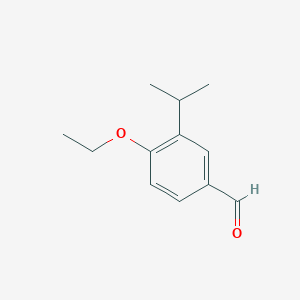 molecular formula C12H16O2 B1395143 4-Ethoxy-3-isopropylbenzaldehyde CAS No. 883537-58-4