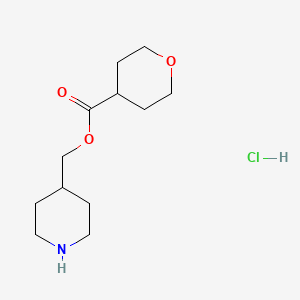 molecular formula C12H22ClNO3 B1395144 4-Piperidinylmethyl tetrahydro-2H-pyran-4-carboxylate hydrochloride CAS No. 1219980-05-8
