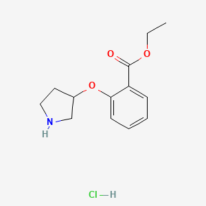 molecular formula C13H18ClNO3 B1395177 2-(吡咯烷-3-氧基)苯甲酸乙酯盐酸盐 CAS No. 1220032-96-1
