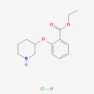 molecular formula C14H20ClNO3 B1395179 Ethyl 2-(3-piperidinyloxy)benzoate hydrochloride CAS No. 1220032-95-0