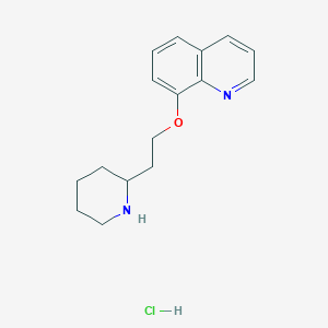 molecular formula C16H21ClN2O B1395189 8-[2-(2-Piperidinyl)ethoxy]quinoline hydrochloride CAS No. 1220032-24-5