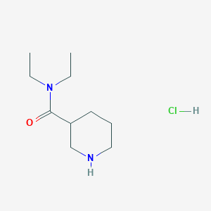 molecular formula C10H21ClN2O B1395201 N,N-Diethyl-3-piperidinecarboxamide hydrochloride CAS No. 859996-19-3