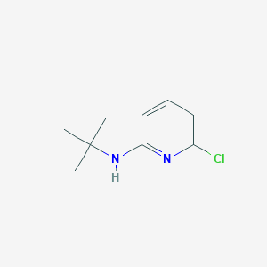 molecular formula C9H13ClN2 B1395206 N-(Tert-butyl)-6-chloro-2-pyridinamine CAS No. 791095-83-5