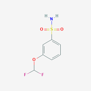 molecular formula C7H7F2NO3S B1395291 3-(Difluoromethoxy)benzene-1-sulfonamide CAS No. 1228461-82-2