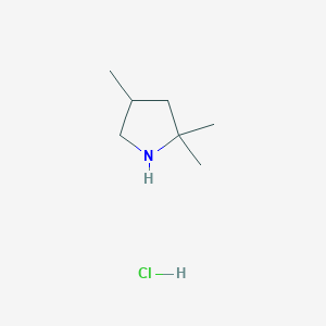 2,2,4-Trimethylpyrrolidine hydrochloride