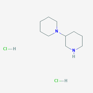 molecular formula C10H22Cl2N2 B1395369 1,3'-Bipiperidine dihydrochloride CAS No. 813425-61-5