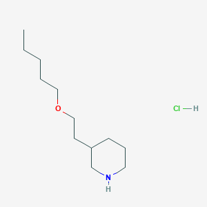 molecular formula C12H26ClNO B1395375 3-[2-(Pentyloxy)ethyl]piperidine hydrochloride CAS No. 1219949-08-2