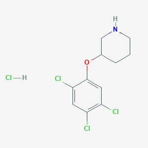 3-(2,4,5-Trichlorophenoxy)piperidine hydrochloride