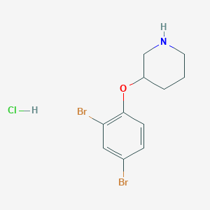 molecular formula C11H14Br2ClNO B1395402 3-(2,4-Dibromophenoxy)piperidine hydrochloride CAS No. 1220033-31-7