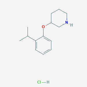 molecular formula C14H22ClNO B1395404 3-(2-Isopropylphenoxy)piperidine hydrochloride CAS No. 1220033-52-2